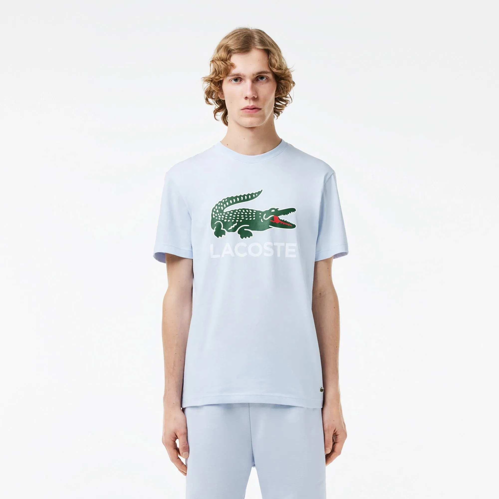 Lacoste Men's Cotton Jersey Signature Print T-Shirt