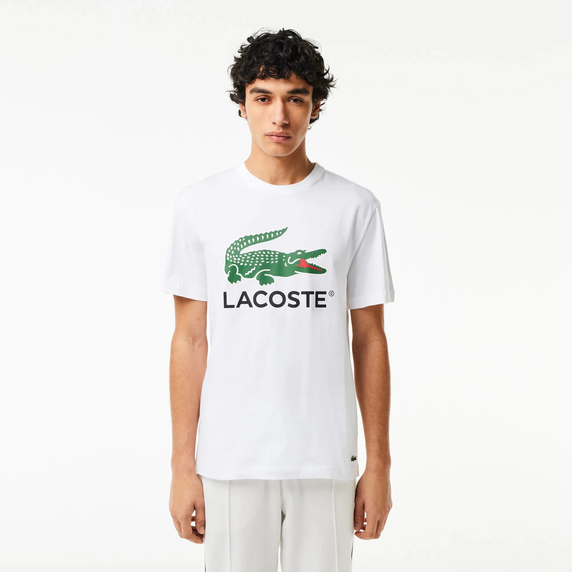 Lacoste Men's Cotton Jersey Signature Print T-Shirt