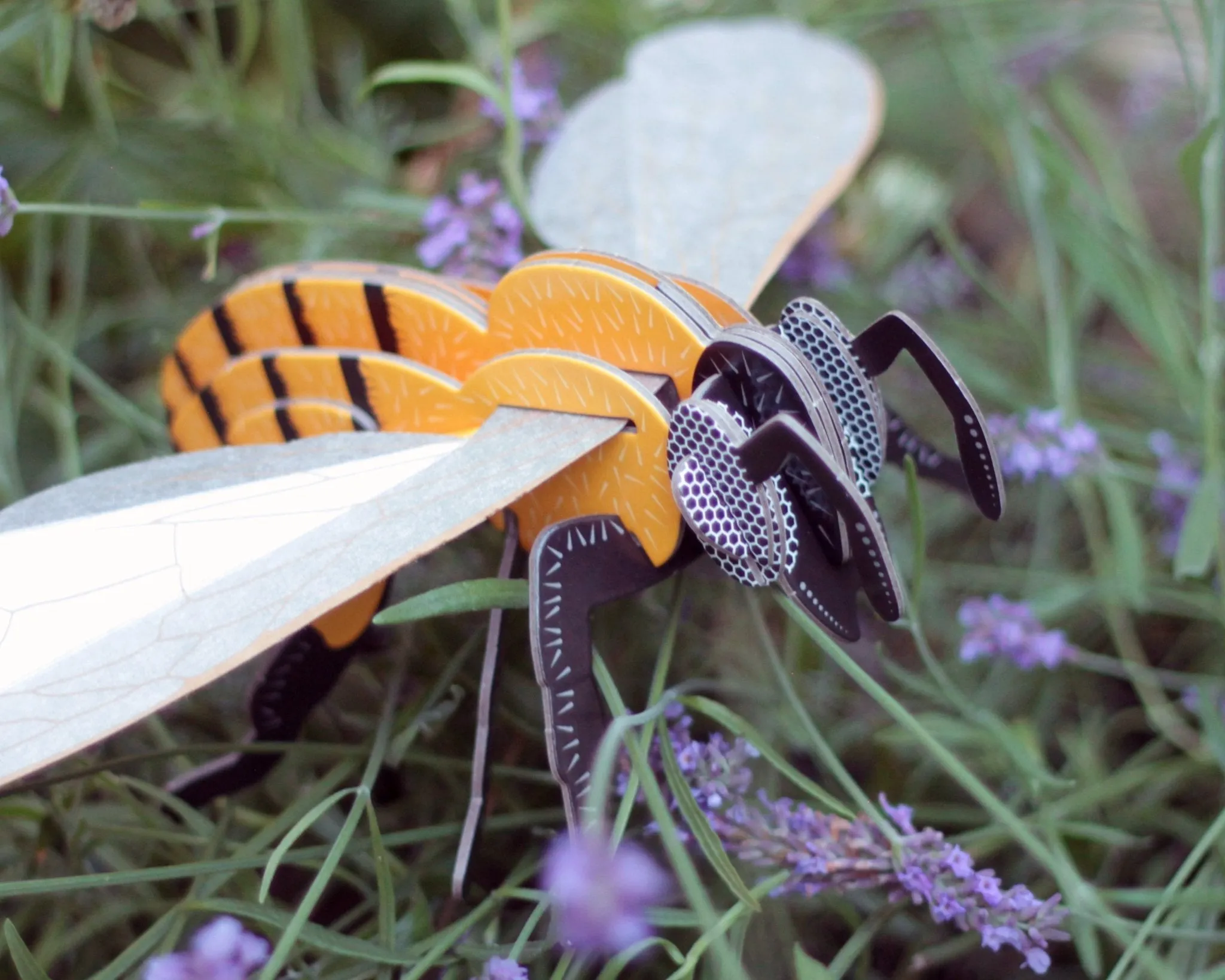 STEM Build - Honey Bee with Moving Mechanisms